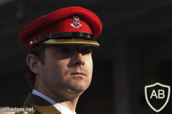Royal Yeomanry cap, senior officer's img36312