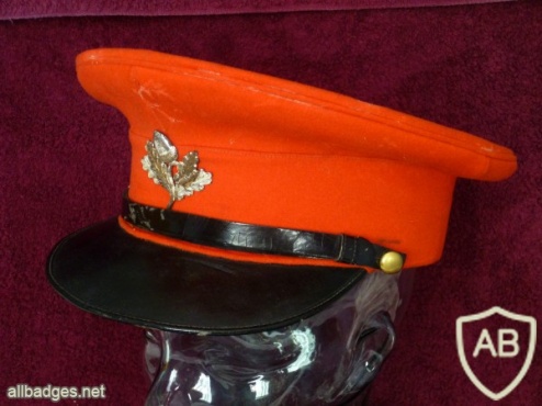 Cheshire royal hussars cap img36285
