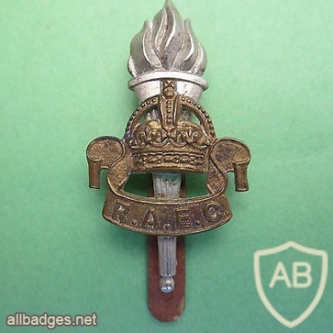 Royal Army Education Corps cap badge, King's crown img36287