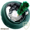 Irish Regiment Beret img36357