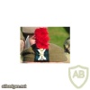 Royal Regiment of Scotland 3rd Battalion beret