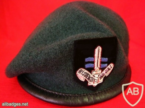 badge information page - Viewing Badge SBS - SPECIAL BOAT SERVICE beret