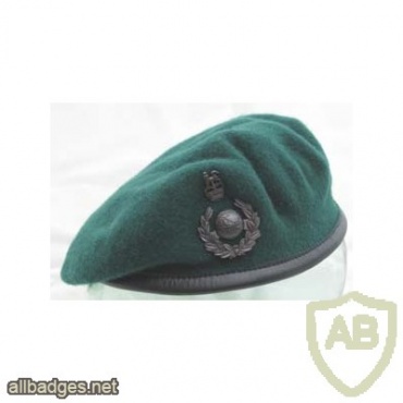 ROYAL MARINES COMMANDO beret img36424