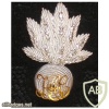 Honourable Artillery Company (HAC), Officer's forage cap badge