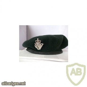Royal Irish Regiment beret img36432
