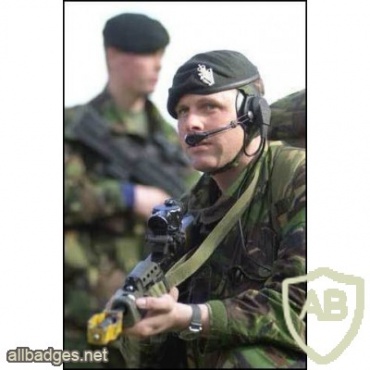 Royal Irish Regiment beret img36433