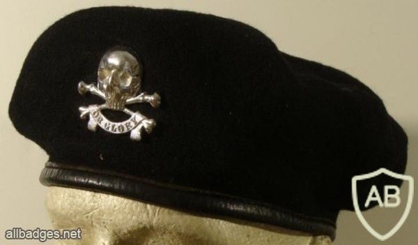 17th Lancers (Duke of Cambridge's Own) beret img36446