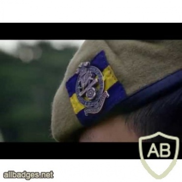 Princess of Wales Royal Regiment beret img36465