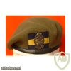 Princess of Wales Royal Regiment beret