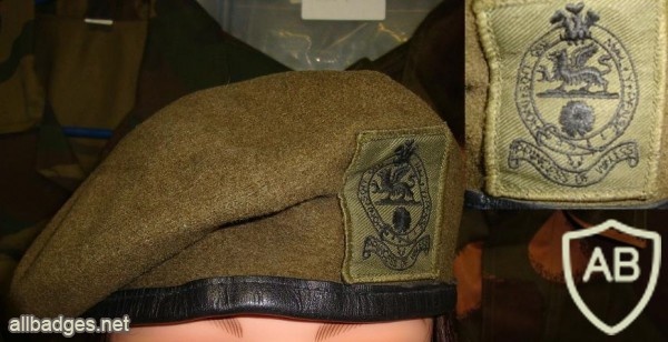Princess of Wales Royal Regiment beret img36499