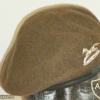 Prince of Wales' Own Regiment of Yorkshire beret img36500
