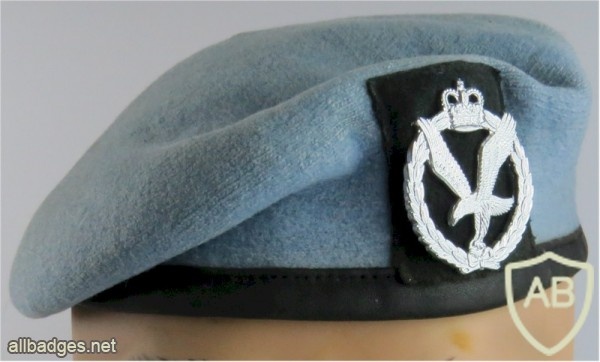 Army Air Corps beret img36543