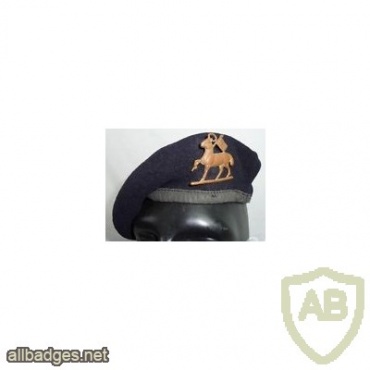 Royal West Surrey Regiment beret img36564