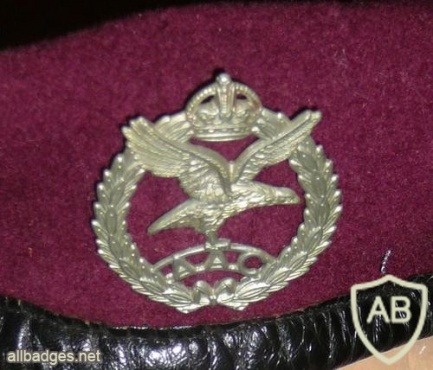 Army Air Corps beret, old img36551