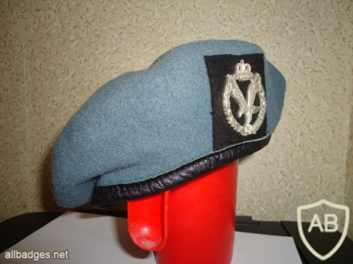Army Air Corps beret img36545