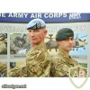 Army Air Corps beret img36546