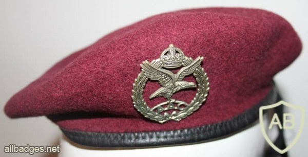Army Air Corps beret, old img36550