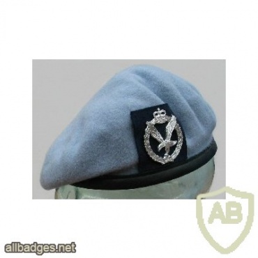 Army Air Corps beret img36544