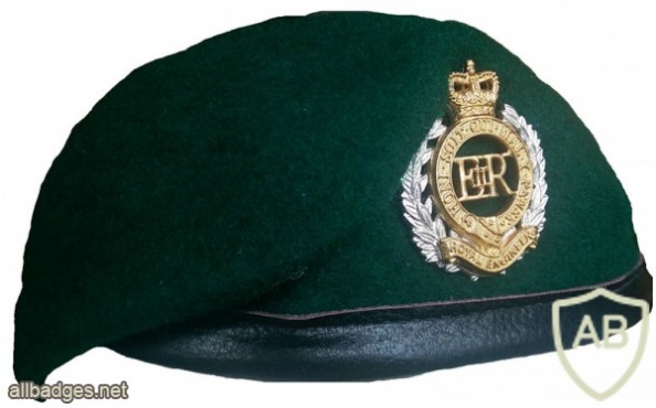 Royal Engineers 131 Independent Commando Squadron beret img36586