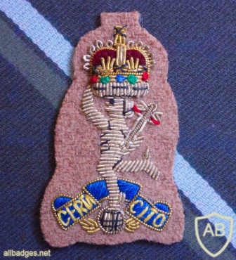 SAS 63rd signal squadron cap badge, cloth, Queen's crown img36580