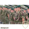 Royal Artillery 29th Commando Regiment beret img36627