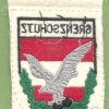 AUSTRIA Army (Bundesheer) - Border Guard sleeve patch, post- 1968 img36637