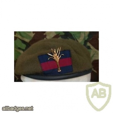 Welsh Guards beret img36642