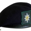 Worcestershire & Sherwood Forester Regiment beret img36638