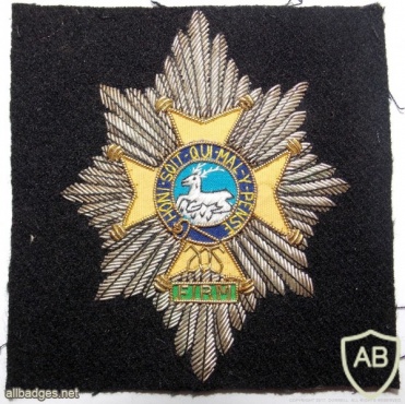 Worcestershire & Sherwood Forester Regiment cap badge, officer, cloth img36640