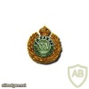 25th Punjabis cap badge, King's crown