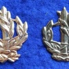דרגת צווארון רב סמל ראשון מתקדם (רס"מ) - חיל הים. img36762