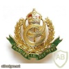15th Punjab Regiment cap badge