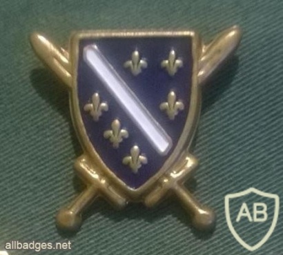 Bosnia and Herzegovina Army cap badge, 1991 img36815
