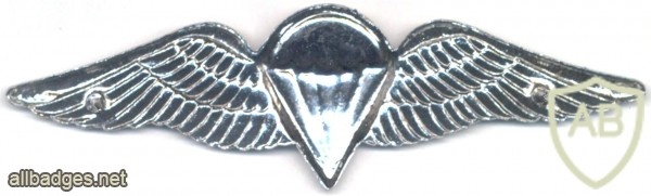 SOUTH AFRICA Parachutist qualification wings, Static line, Advanced img36865