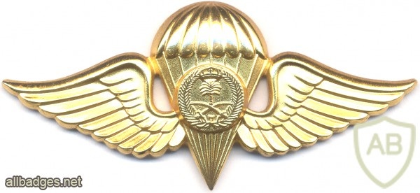 SAUDI ARABIA Army Parachute qualification wings, Class IV, Gold, 1979-1980 img36866