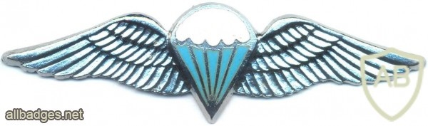 SOUTH AFRICA Parachutist qualification wings, Static line, Advanced img36864