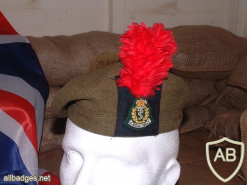 Royal Army Medical Corps beret img36881