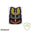 21 SAS Special Air Service (Reserve) 