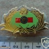 Taiwan Military Instructor pin