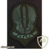 Taiwan Army airborne special service company patch, subdued img36939