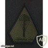 Taiwan Army 862nd airborne brigade patch, subdued