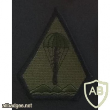 Taiwan Army 862nd airborne brigade patch, subdued img36926