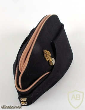 Inniskilling Fusiliers side hat img36902