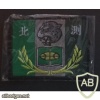 Taiwan Army North training evalution center patch, subdued img36936