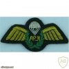 Assistant Parachute Jump Instructor qualification wings, cloth  img36943