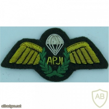 Assistant Parachute Jump Instructor qualification wings, cloth  img36943