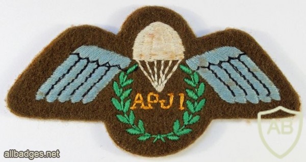 Assistant Parachute Jump Instructor qualification wings, cloth  img36942
