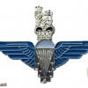 Parachute regiment lapel badge