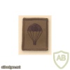 UK Parachute qualification badge img36949