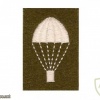 UK Parachute qualification badge img36946